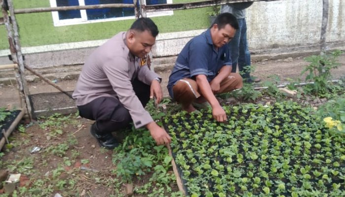 Tingkatkan Silaturahmi, Polsek SD Hole Motivasi Petani Kopi