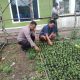 Bhabinkamtibmas Polsek SD Hole, Aipda Syahrial ES, saat sambang dan tatap muka ke warga binaan petani kopi sekaligus memotivasi untuk meningkatkan hasil pertaniannya