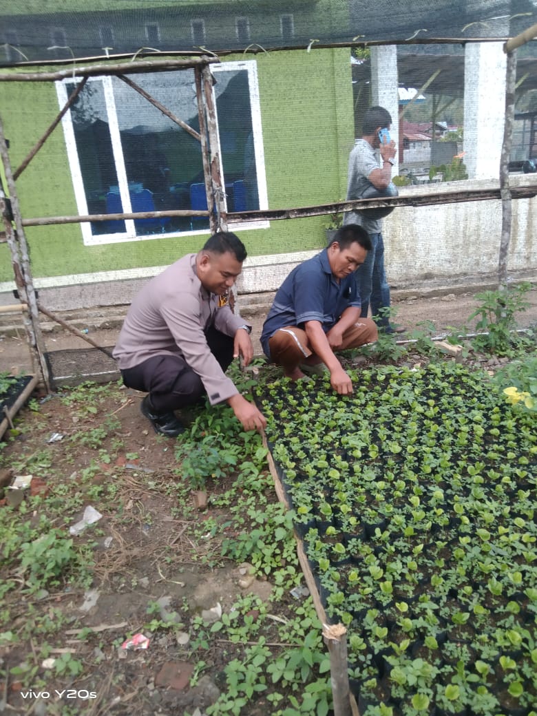 Bhabinkamtibmas Polsek SD Hole, Aipda Syahrial ES, saat sambang dan tatap muka ke warga binaan petani kopi sekaligus memotivasi untuk meningkatkan hasil pertaniannya