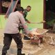 Bhabinkamtibmas Polsek Sipirok dan Babinsa menggelar gotongroyong membersihkan material Ruang Kantor MIS Baitul Hikmah Al Zain yang sempat jebol