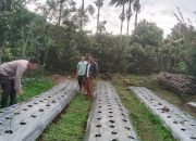 Polsek Sipirok Tinjau Lahan Terbengkalai Akibat Kurang Modal