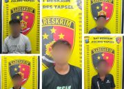 Angkut 2 Ton Sawit PT SKL, 5 Pria ‘Diangkut’ ke Polres Tapsel