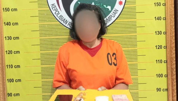 Waduh! Mamak-mamak Ini ‘Gendong’ Sabu ke Sidimpuan: Simpan di Bra