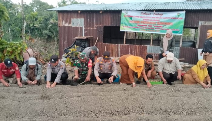Polsek Sipirok Siap Mendukung Program Ketahanan Pangan Presiden