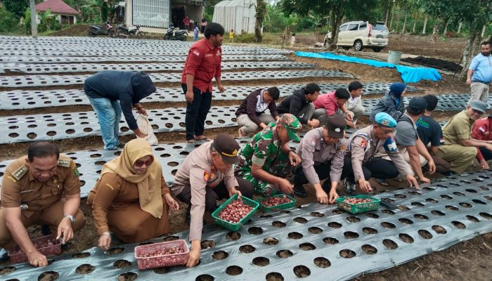 Iptu Aswin: Polsek Sipirok Siap Sinergi untuk Wujudkan Ketahanan Pangan