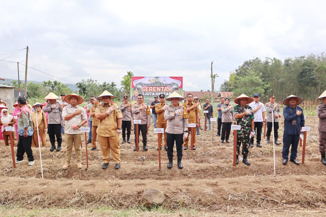 Kapolres Padangsidimpuan, AKBP Dr Wira Prayatna, bersama unsur Forkopimda saat kegiatan penanaman jagung serentak 1 juta Hektare di lahan perkebunan dan lainnya se-Indonesia dalam rangka mewujudkan swasembada pangan 2025