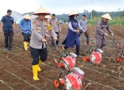 Kapolres Tapsel Tanam Jagung Serentak: Dukung Swasembada Pangan