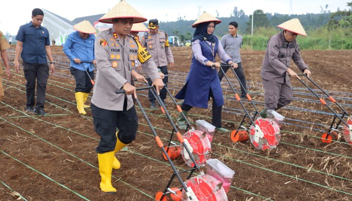 Kapolres Tapsel Tanam Jagung Serentak: Dukung Swasembada Pangan