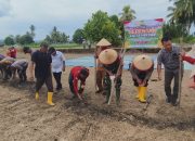 Dukung Swasembada Pangan, Polsek Batang Toru Tanam Jagung Serentak