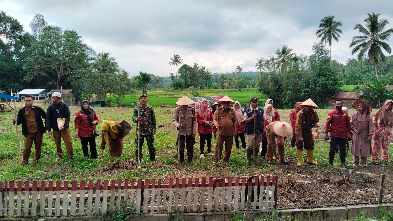 Bhabinkamtibmas Polsek Sipirok, Aiptu Anwar Sadat Harahap, bersama unsur Forkopimcam Angkola Timur, saat menggelar aksi penanaman jagung serentak di lahan seluas 0,5 Hektare