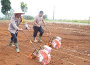Kasat Binmas Polres Tapsel Lanjutkan Program Penanaman Jagung Serentak