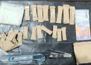 Waduh! Pemuda 16 Tahun di Paluta Diduga Edarkan Ganja, Untungnya Diamankan Polisi