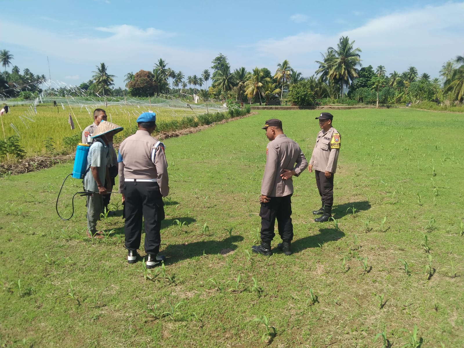 Waka Polsek Batang Toru, Iptu M Taufik Manullang, dan anggota saat mengecek lokasi lahan Ketapang di Desa Telo