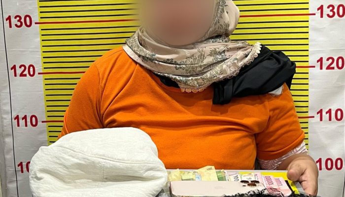 Polres Tapsel Tangkap Wanita Bandar Sabu di Paluta, Saat Penggeladahan Dilempari Batu