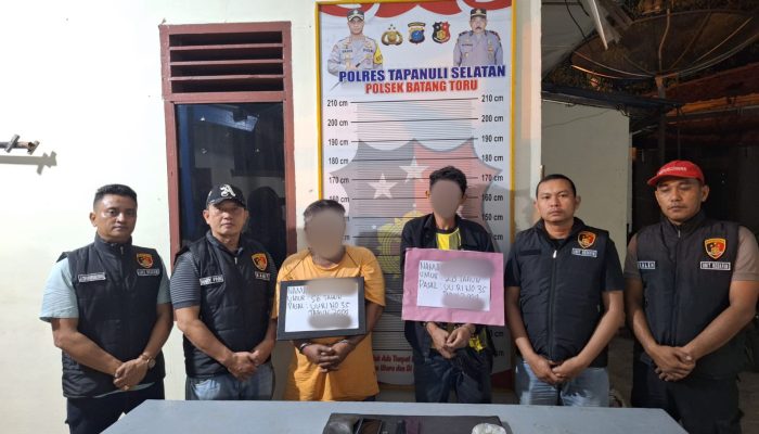 Pengedar ‘Nyanyi’, Bandar Ganja Digulung Polsek Batang Toru