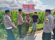 Tinjau Perkembangannya, Kapolsek Sipirok Cek Lahan Ketapang Jagung