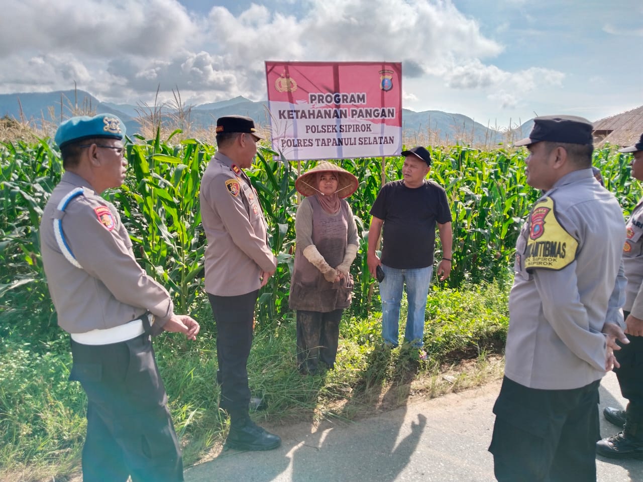 Kapolsek Sipirok, Iptu Aswin Manurung, SH, dan anggota, melaksanakan cek lokasi lahan Ketapang pertanian jagung binaan