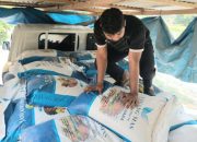 Komitmen Produsen Pupuk Wika Jaya Mandiri: Dukung Ketahanan Pangan di Sumut