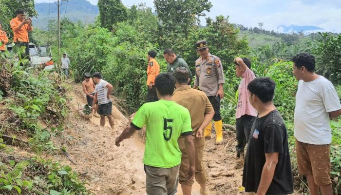 Kapolsek Padang Bolak Cek Tanah Longsor di Desa Hutaimbaru II