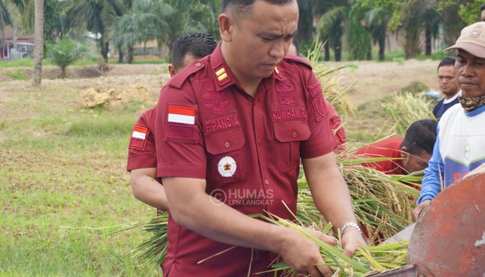 Dukung Ketahanan Pangan Nasional, LPN Langkat Panen Raya Padi