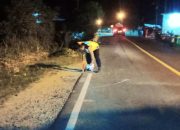 Pengemudi Beat Meninggal Dunia di Tapsel Usai Dihantam Satria F