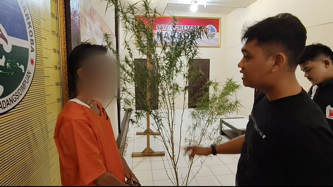 Polisi dari Sat Resnarkoba Polres Padangsidimpuan saat menginterogasi pria gondrong berinisial, SS alias A, yang nekad menanam ganja di samping Rumahnya