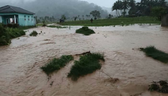 Diguyur Hujan Deras, Sejumlah Titik di Padangsidimpuan Terdampak Banjir