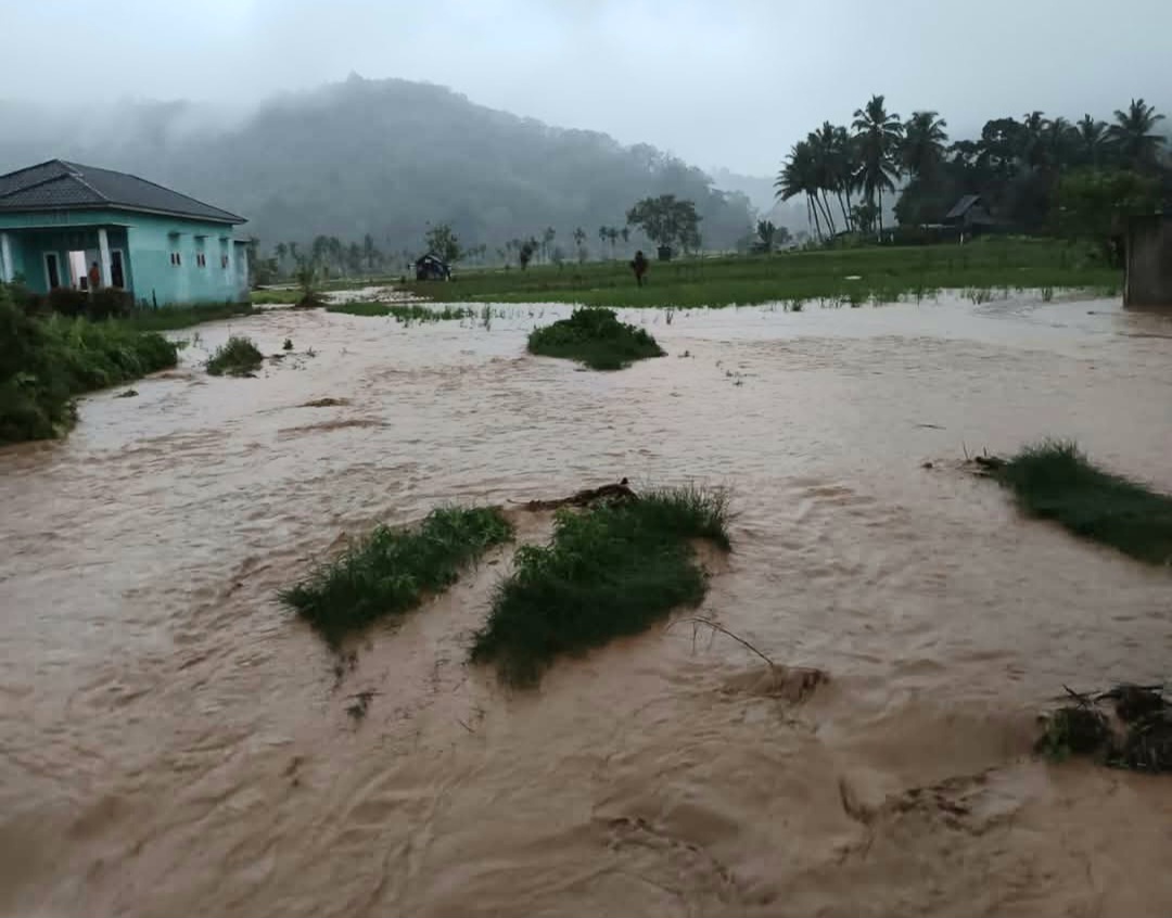 Diguyur hujan selama 3 jam tanpa henti, Kota Padangsidimpuan dikepung banjir dan saat ini, BPBD bersama pihak-pihak terkait lainnya sudah melakukan upaya penanganan terhadap musibah tersebut