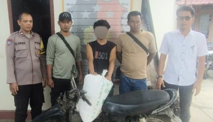 Memanen Brondolan Sawit 35 Kg, Pria 30 Tahun Diserahkan ke Polisi