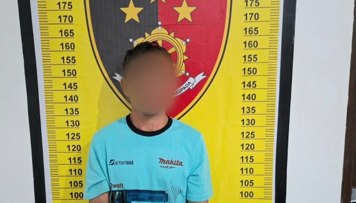 Diduga Aniaya Karyawan PT TPL, Petani Ditangkap Polres Tapsel