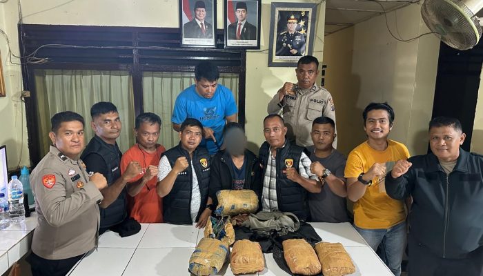 Sukses Besar, Polsek Batang Angkola Bekuk Bandar dan Sita 5 Bal Lebih Ganja
