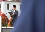 Aduh! Tersangkut Soal DD 2024, Gus Irawan Copot 2 Kades di Tapsel