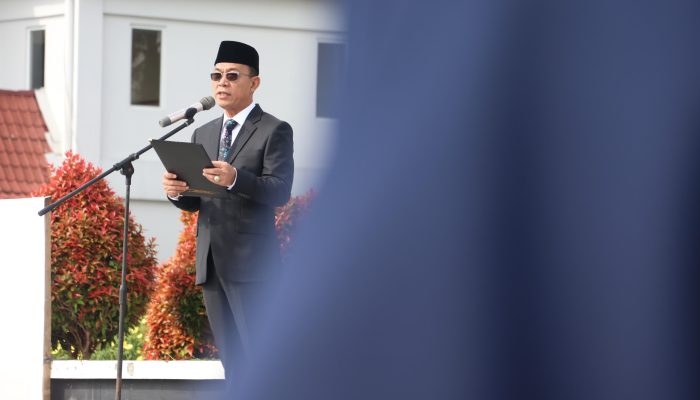 Aduh! Tersangkut Soal DD 2024, Gus Irawan Copot 2 Kades di Tapsel