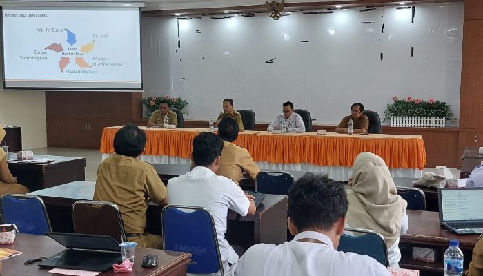 Wabup Tapsel: Data Berkualitas Jadi Pondasi Utama Rumuskan Kebijakan Pemerintah