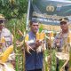 Kapolsek Batang Angkola, AKP R Trihardjanto, dan Plh Kasat Binmas Polres Tapanuli Selatan, saat panen jagung raya bersama di lahan seluas 1 Hektar milik warga atas nama, Tulus di Desa Huta Padang