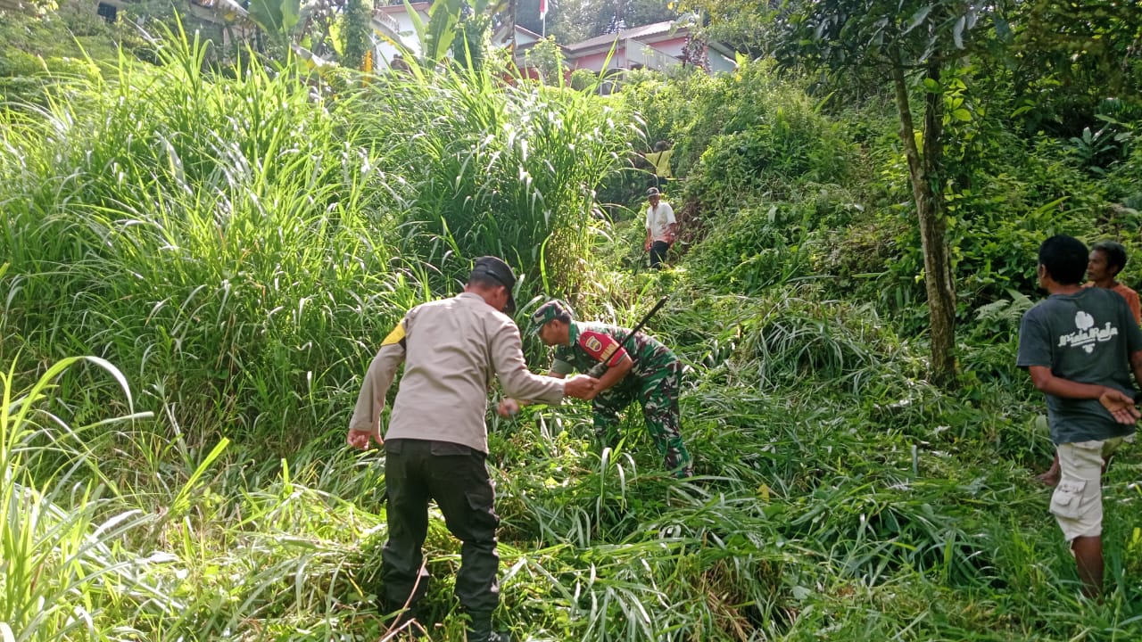 Bhabinkamtibmas Polsek Sipirok, Aiptu Mulianto Siregar, melaksanakan gotongroyong dalam rangka persiapan Kantor Koperasi Merah Putih di Desa Sibadoar