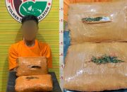 Beli 2 Kg Ganja dari Madina, Pria Pengangguran Dibekuk Polres Tapsel
