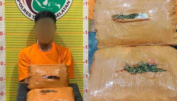 Beli 2 Kg Ganja dari Madina, Pria Pengangguran Dibekuk Polres Tapsel