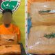 Seorang pria pengangguran berinisial, RPS saat menunjukkan barang bukti 2 ball ganja seberat lebih kurang 2 Kg usai ditangkap Tim Opsnal Sat Resnarkoba Polres Tapsel