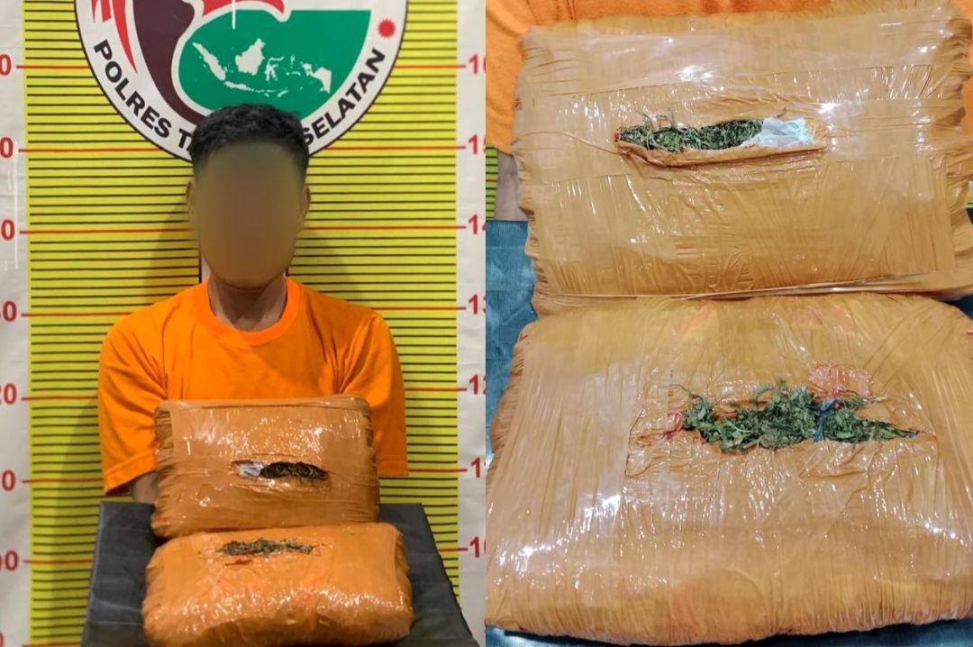 Seorang pria pengangguran berinisial, RPS saat menunjukkan barang bukti 2 ball ganja seberat lebih kurang 2 Kg usai ditangkap Tim Opsnal Sat Resnarkoba Polres Tapsel