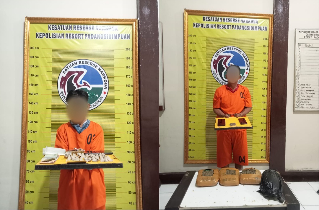 Seorang kurir ganja inisial, MS dan pengedarnya, ASG, usai ditangkap Tim Opsnal Sat Resnarkoba Polres Padangsidimpuan