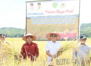 Gus Irawan Pimpin Panen Raya Padi: Wujud Nyata Dukung Swasembada Pangan Nasional