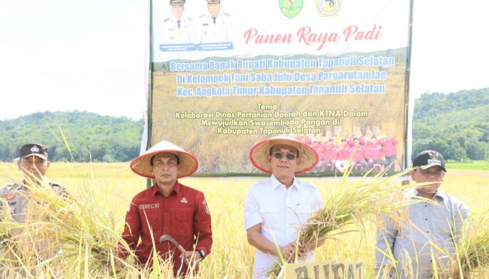 Gus Irawan Pimpin Panen Raya Padi: Wujud Nyata Dukung Swasembada Pangan Nasional