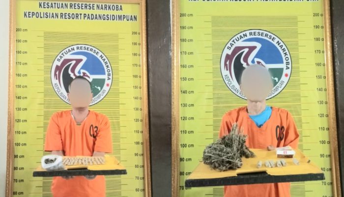 ‘Nyanyian’ Pengecer Ganja di Sidimpuan Seret Pengedar ke Sel