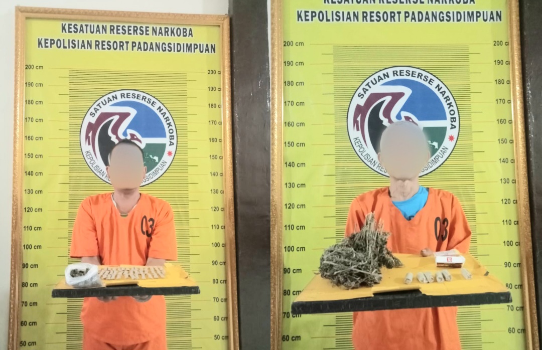 Berkat 'nyanyian' pengecer ganja berinisial, FR, seorang pengedar, JAL berhasil ditangkap Tim Opsnal Sat Resnarkoba Polres Padangsidimpuan berikut barang bukti