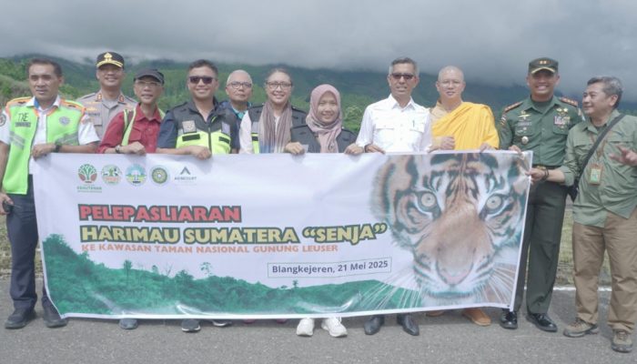 Semangat Living in Harmony, PTAR Turunkan Helikopter di Pelepasliaran Harimau Sumatera