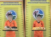 Komplit, Polres Padangsidimpuan Ungkap Komplotan Pengedar dan Pemasok Ganja