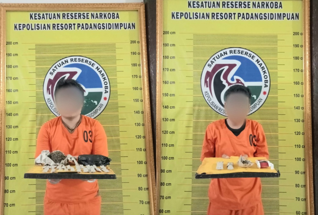 Pengedar ganja berinisial, RSN dan pemasoknya SBA, saat menunjukkan barang bukti berupa narkotika jenis ganja usai ditangkap Tim Opsnal Sat Resnarkoba Polres Padangsidimpuan
