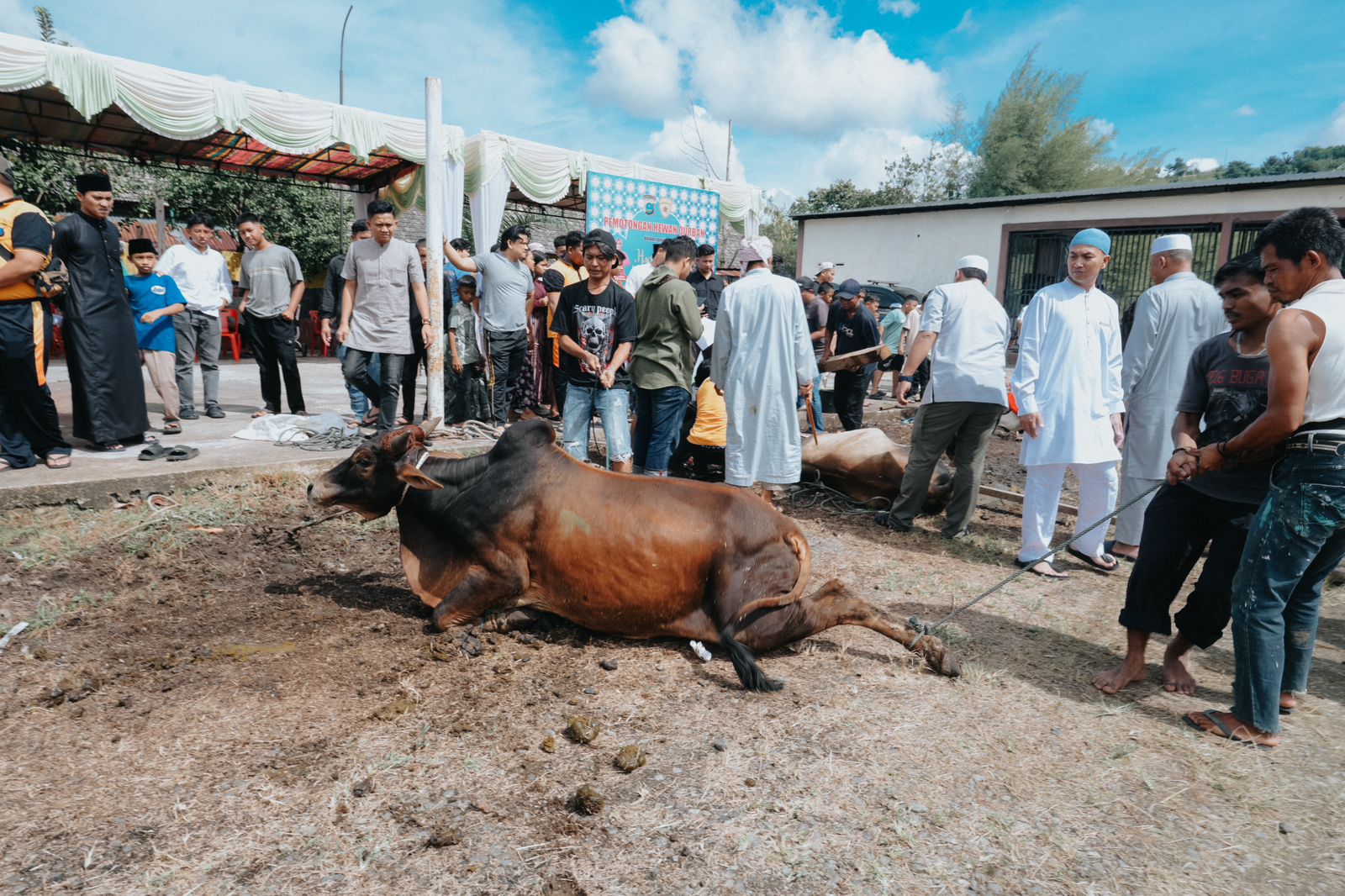 Pelaksanaan kurban jajaran Polres Tapsel dalam rangka merayakan Hari Raya Idul Adha 1446 Hijriah