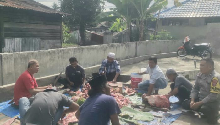 Polsek Batang Angkola Pengamanan Pemotongan Hewan Kurban Idul Adha di Pintu Padang